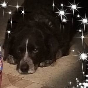 Meet your Posher, Christy